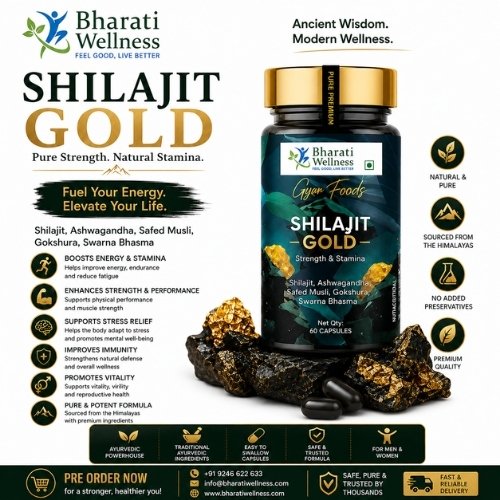 Shilajit Gold